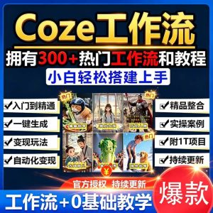 cize工作流
